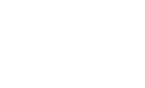 Rucker Park Streetball in Paris
